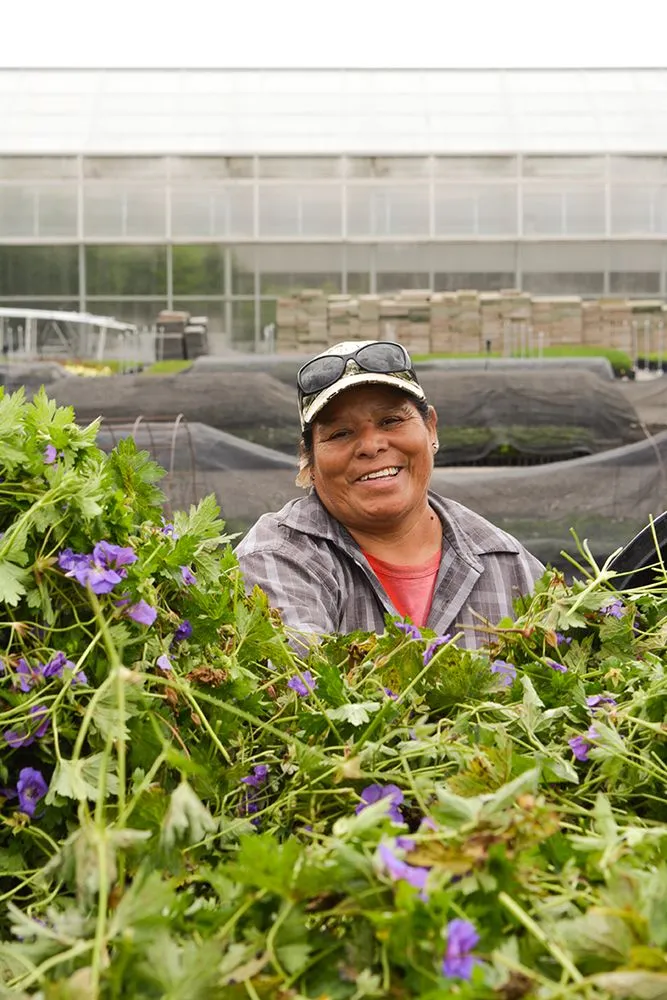 Local yard maintenance experts serving Waterloo, WI - McKay Nursery