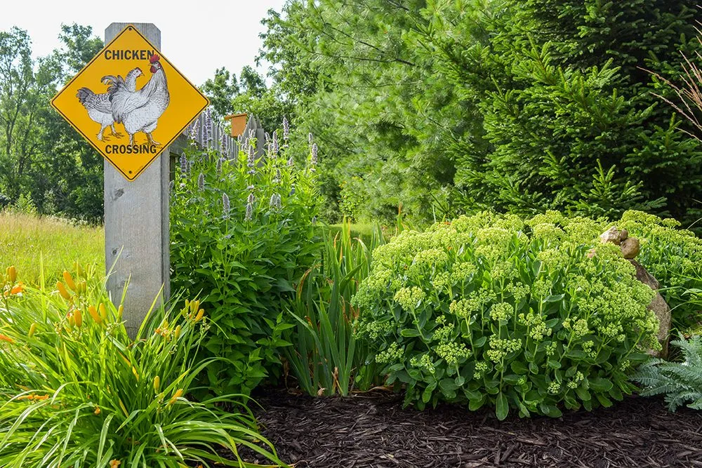 Trusted yard cleanup service in Waterloo, WI by McKay Nursery