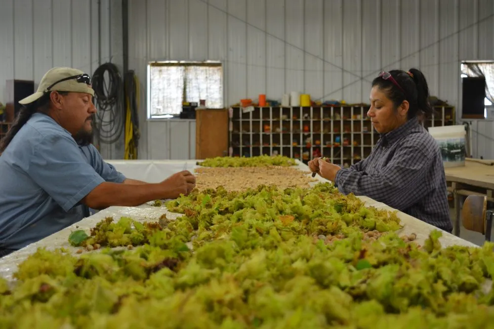 Custom lawn mowing service experts serving Waterloo, WI - McKay Nursery