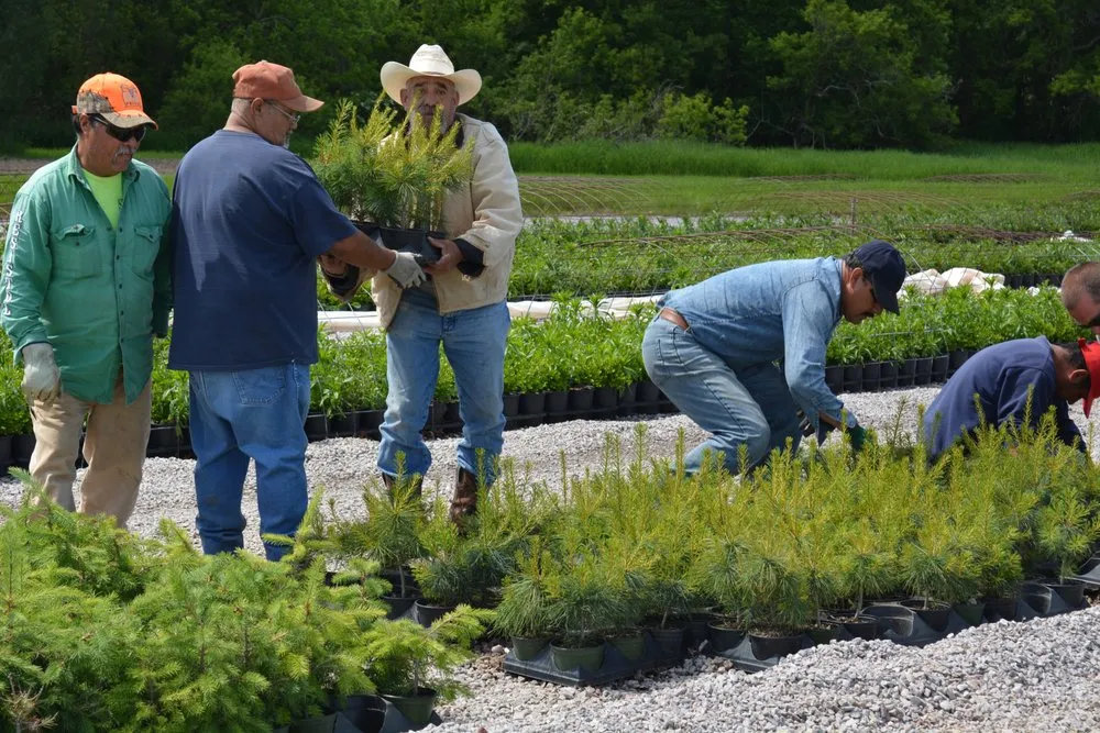 Expert yard maintenance in Waterloo, WI by McKay Nursery