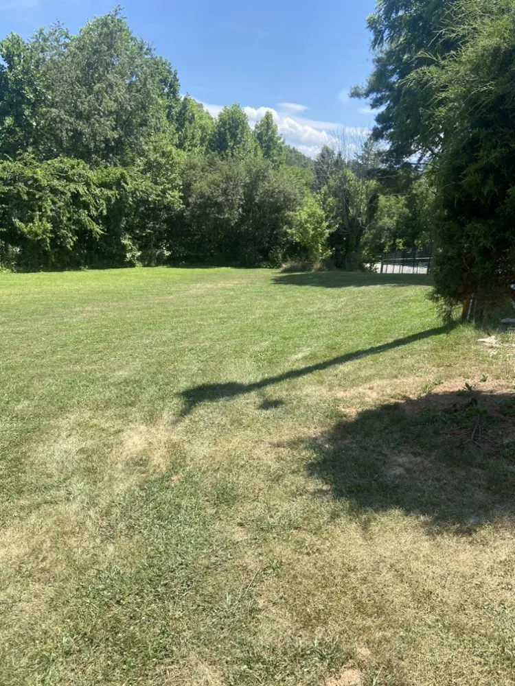 Local lawn care service in Candler, NC - Mckay's Lawn Care