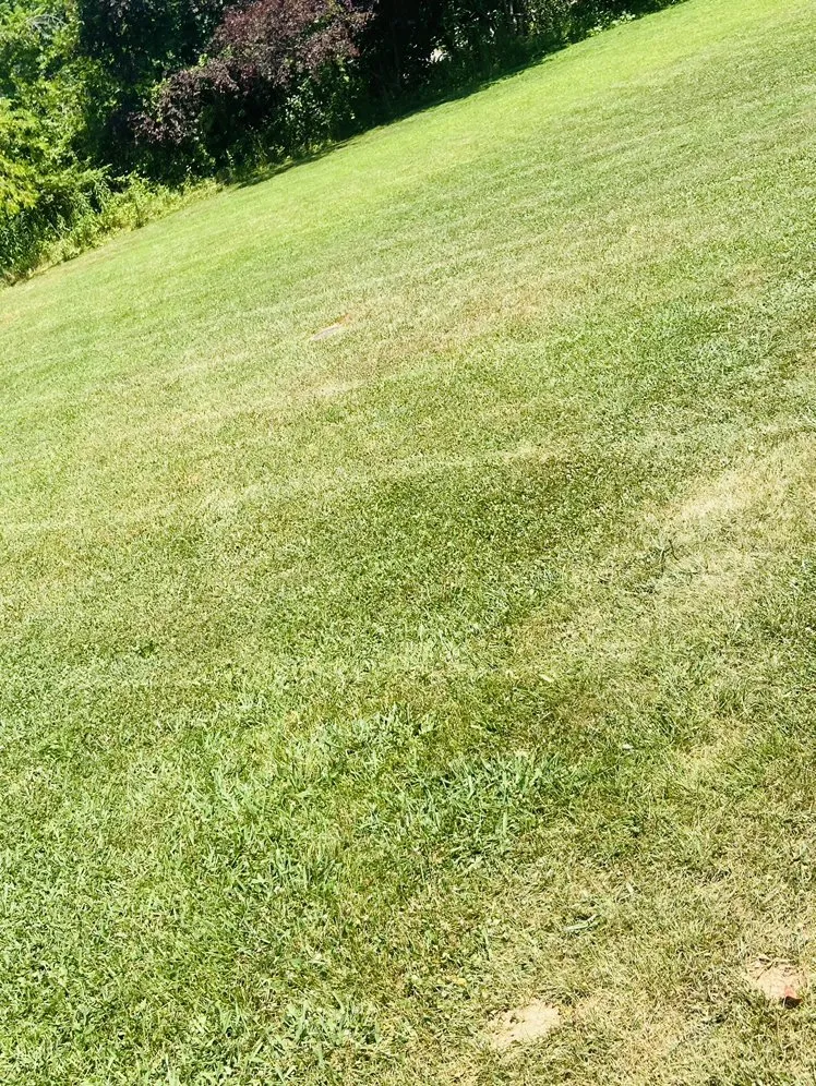 Local lawn care service in Candler, NC - Mckay's Lawn Care