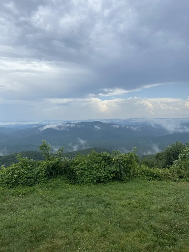 Trusted outdoor landscaping near you across Candler, NC - Mckay's Lawn Care