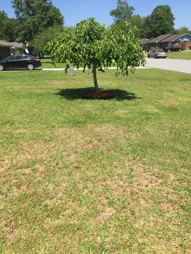 Trusted landscape installation in Pooler, GA by McKay's Lawn Care Service