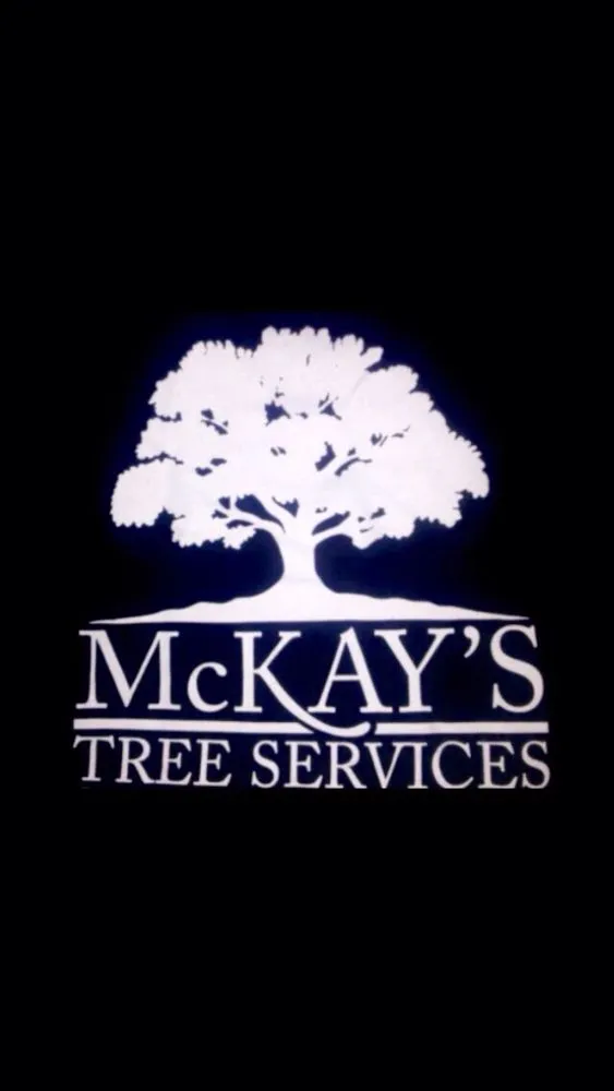 Top-rated lawn care service experts serving Doylestown, PA - Mckays Tree Services