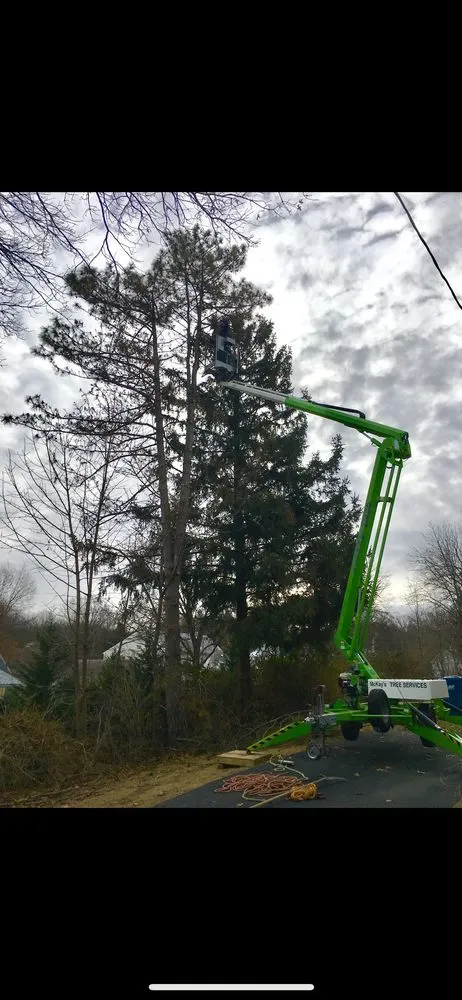 Local landscape design for beautiful yards across Doylestown, PA - Mckays Tree Services