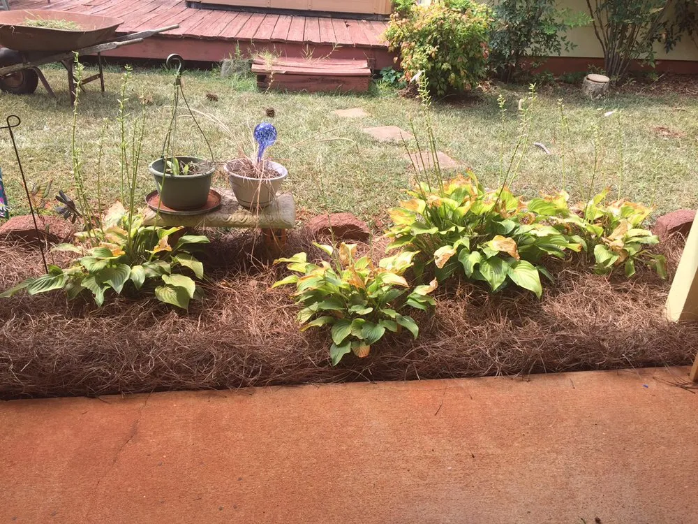 Expert landscaping services for residential properties across Jackson, GA - McKee's Lawncare And Landscaping