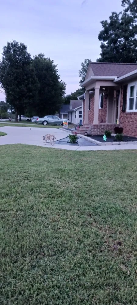 Top-rated residential landscaping in Archdale, NC - Mckeithan's Pressure Washing and Lawn Care