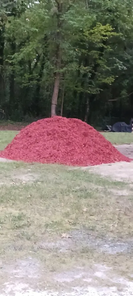 Trusted landscaping services experts serving Archdale, NC - Mckeithan's Pressure Washing and Lawn Care