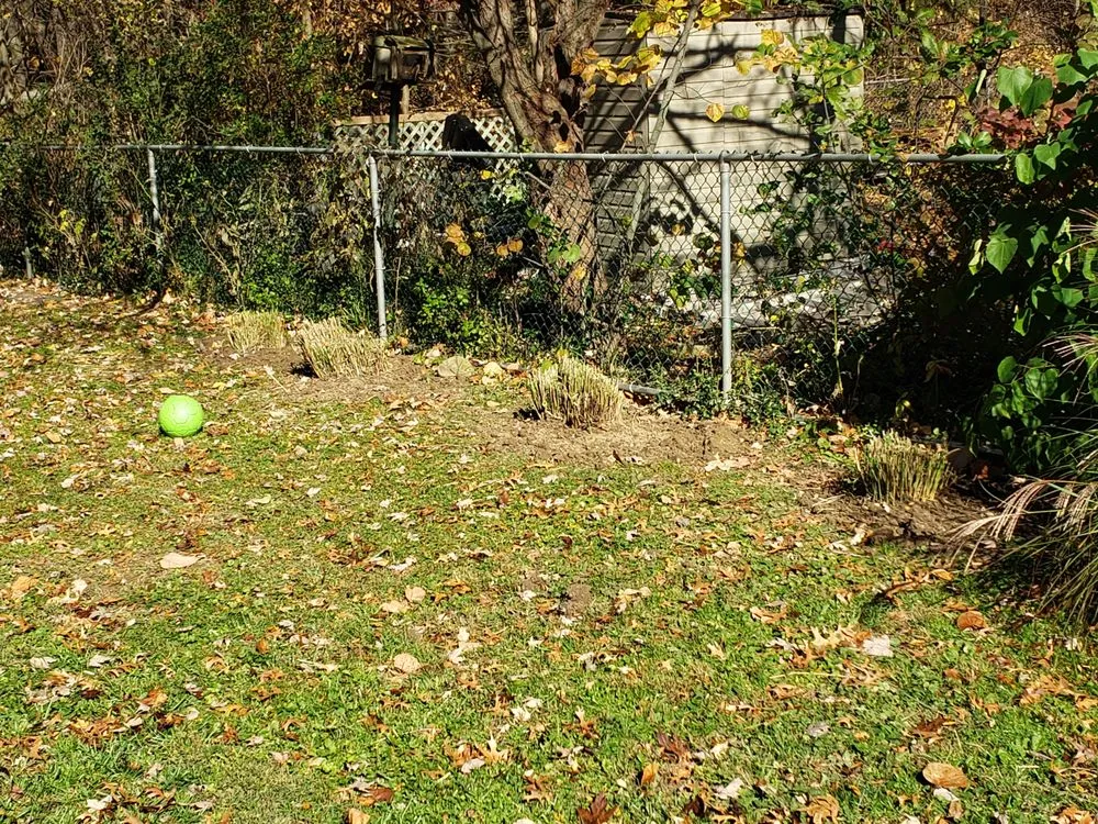 Custom residential landscaping in North Olmsted, OH by McKenna & daughters lawn and home maintenance