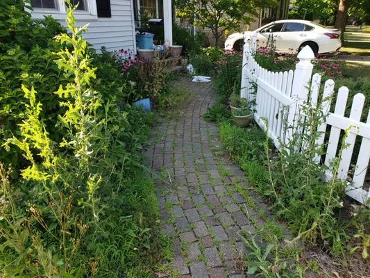 McKenna & daughters lawn and home maintenance