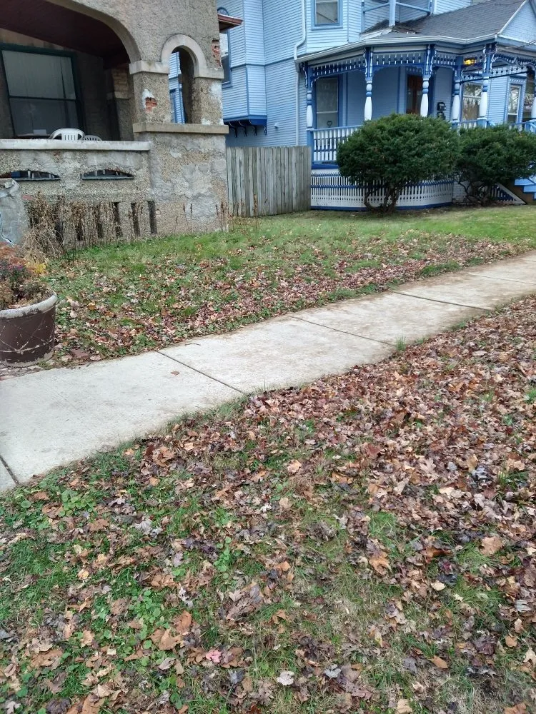 Reliable outdoor landscaping in Normal, IL by Mckennies Home and Lawn Care