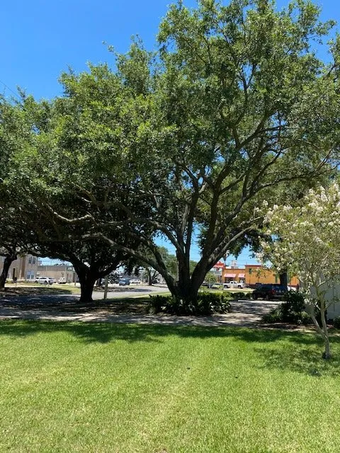 Professional lawn care service for outdoor upgrades in Kenner, LA by Mckenzie Enterprises