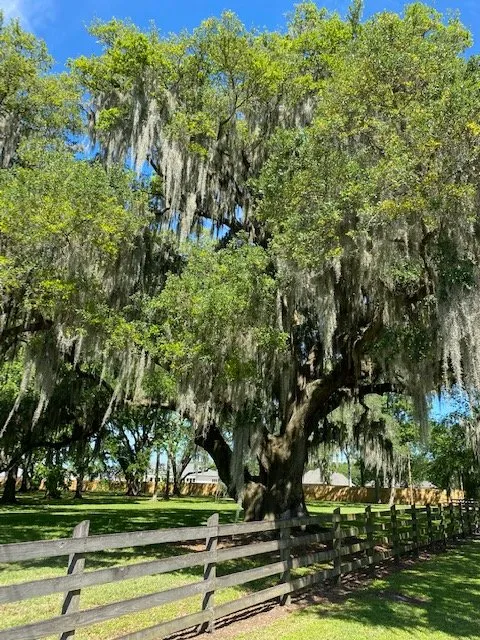 Local lawn care service experts serving Kenner, LA - Mckenzie Enterprises