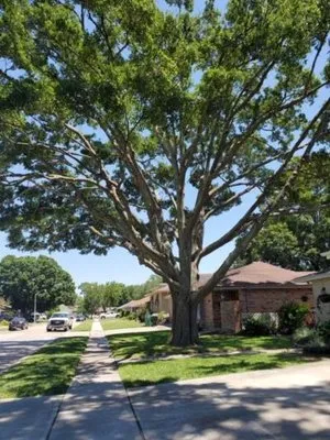 Mckenzie Enterprises Logo