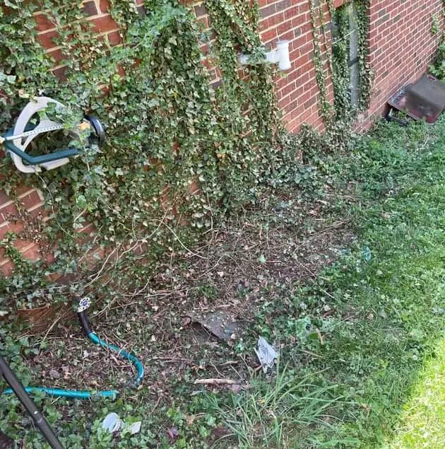 Expert yard cleanup service with custom design in Winston-Salem, NC by McKenzie Landscape and TurfCare