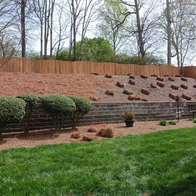 Affordable yard cleanup service for homes in Winston-Salem, NC by McKenzie Landscape and TurfCare