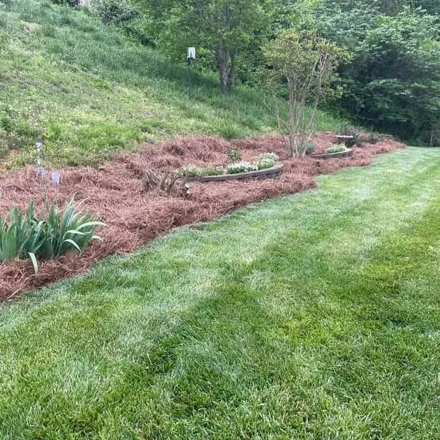 Local yard maintenance in Winston-Salem, NC by McKenzie Landscape and TurfCare