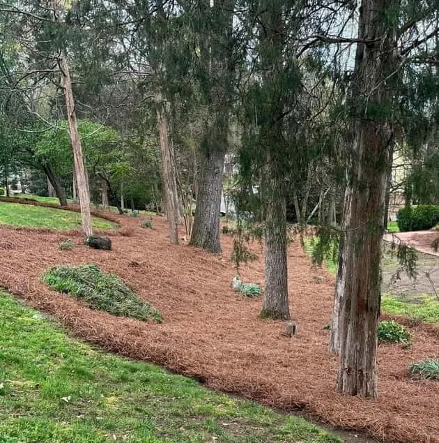 Professional yard maintenance for outdoor upgrades across Winston-Salem, NC - McKenzie Landscape and TurfCare