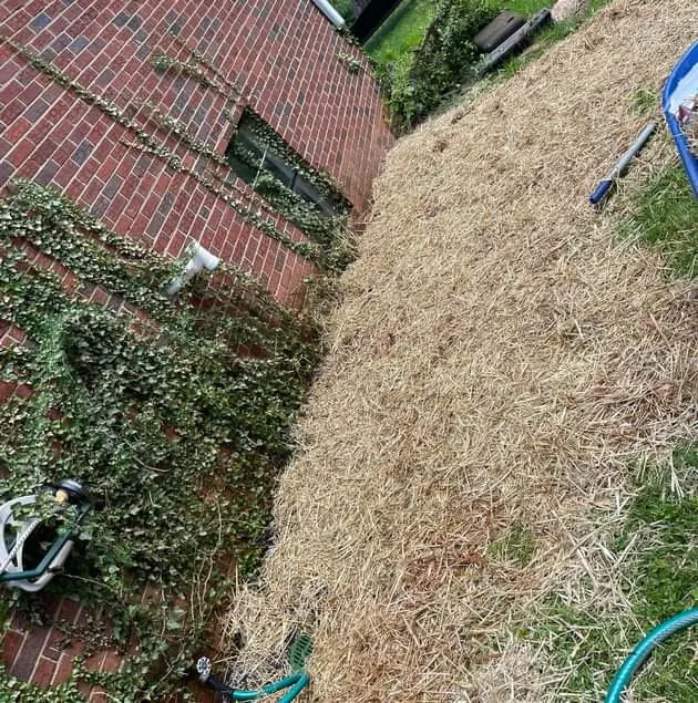 Expert lawn care service for homes across Winston-Salem, NC - McKenzie Landscape and TurfCare