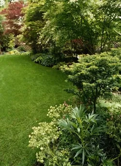 Affordable landscape design near you in Little Rock, AR by McKenzie Landscaping & Sweepmaster