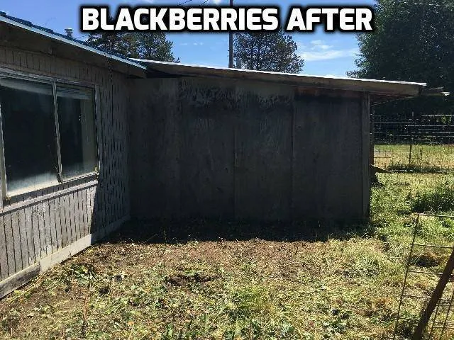 Custom outdoor landscaping for residential properties in Wilsonville, OR by McKenzie's Landscape