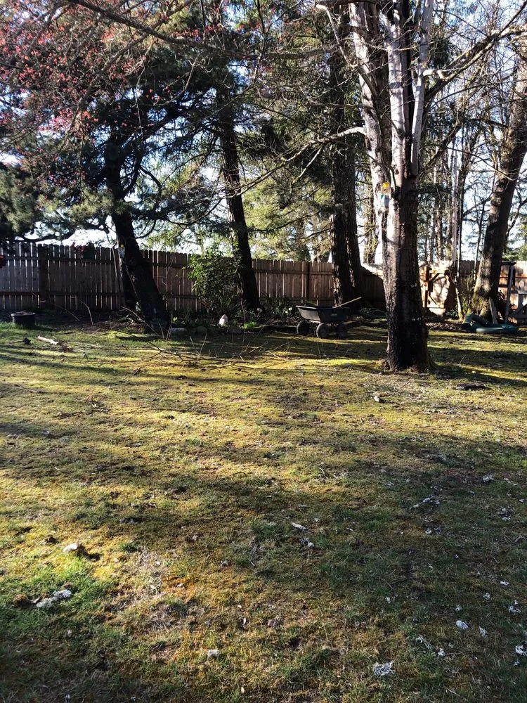 Affordable landscape design in Wilsonville, OR - McKenzie's Landscape