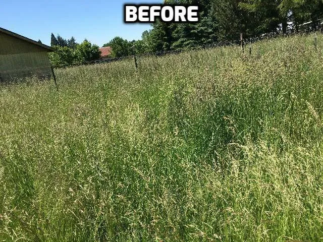 Professional lawn care service for beautiful yards in Wilsonville, OR by McKenzie's Landscape