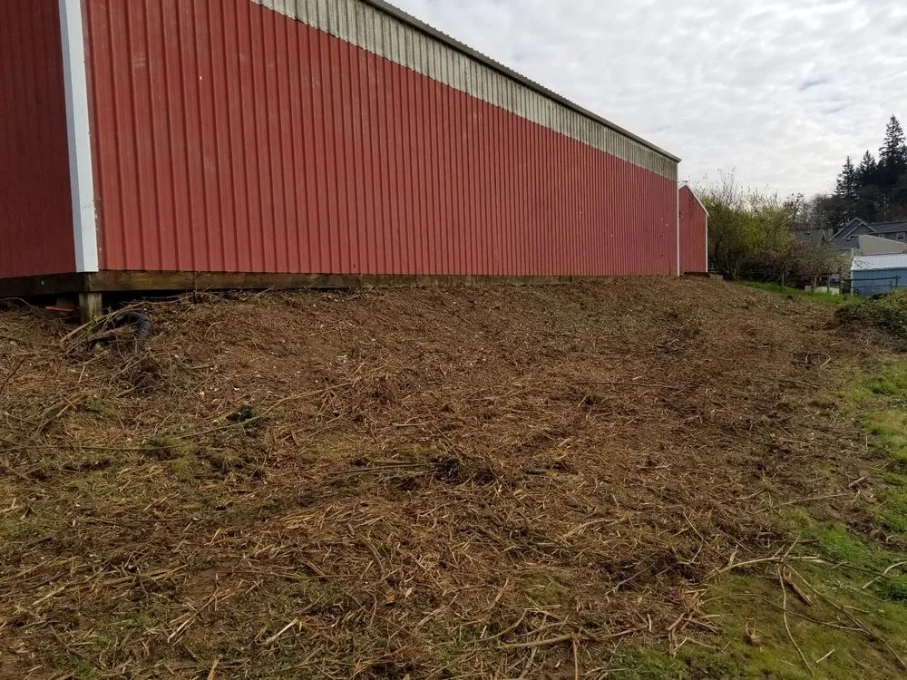 Expert lawn care service in Wilsonville, OR - McKenzie's Landscape