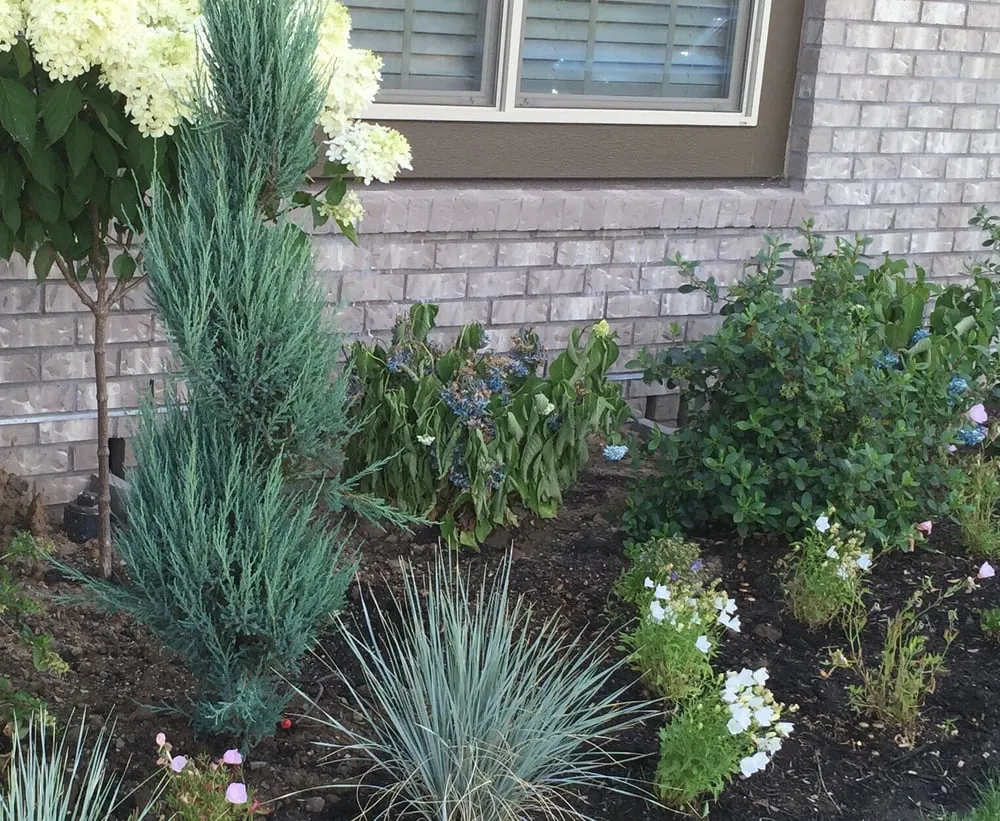Custom garden landscaping in Wilsonville, OR - McKenzie's Landscape
