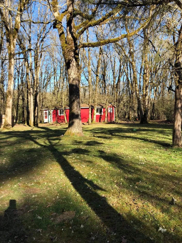 Expert landscaping services in Wilsonville, OR by McKenzie's Landscape