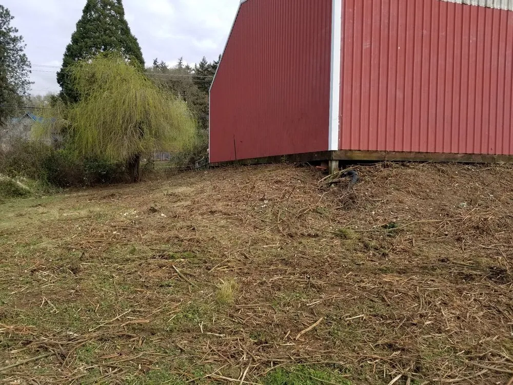 Custom outdoor landscaping in Wilsonville, OR - McKenzie's Landscape