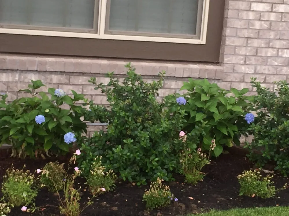 Trusted garden landscaping in Wilsonville, OR - McKenzie's Landscape