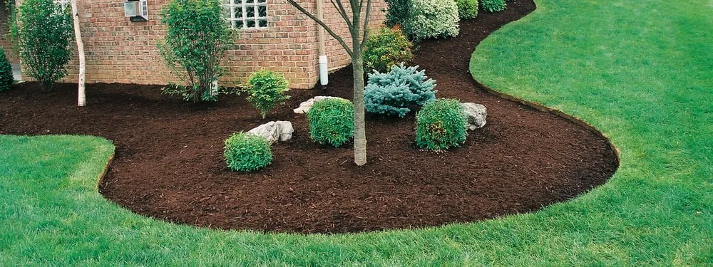 Reliable lawn mowing service experts serving Wilsonville, OR - McKenzie's Landscape