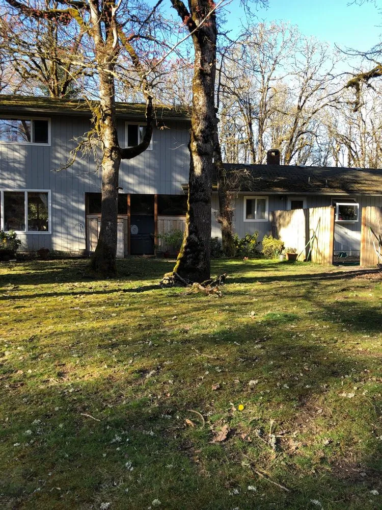 Affordable yard cleanup service for homes in Wilsonville, OR by McKenzie's Landscape