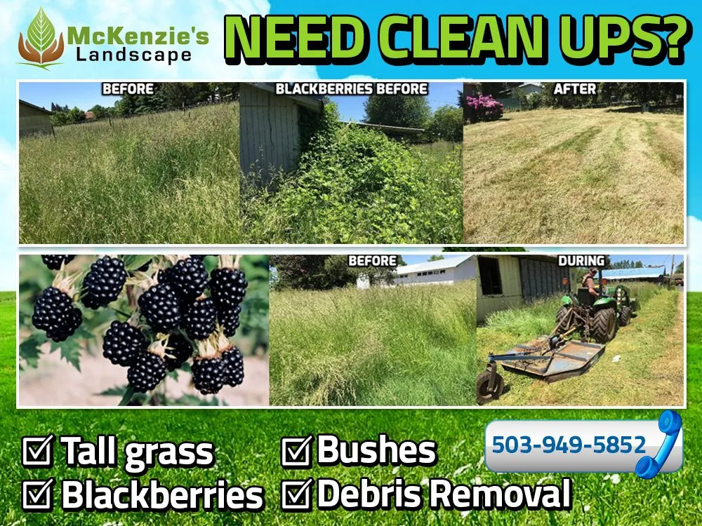 Top-rated yard cleanup service in Wilsonville, OR by McKenzie's Landscape
