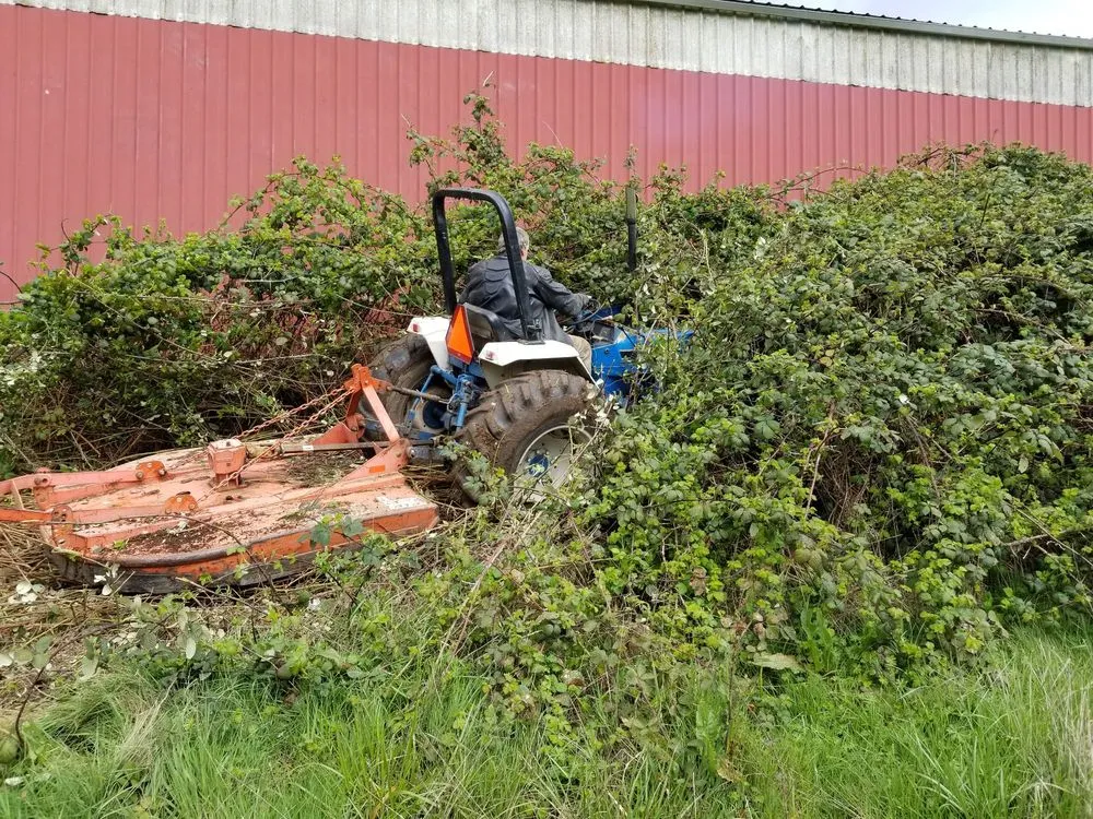 Top-rated landscape installation in Wilsonville, OR - McKenzie's Landscape