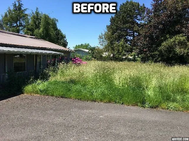 Expert residential landscaping for homes across Wilsonville, OR - McKenzie's Landscape