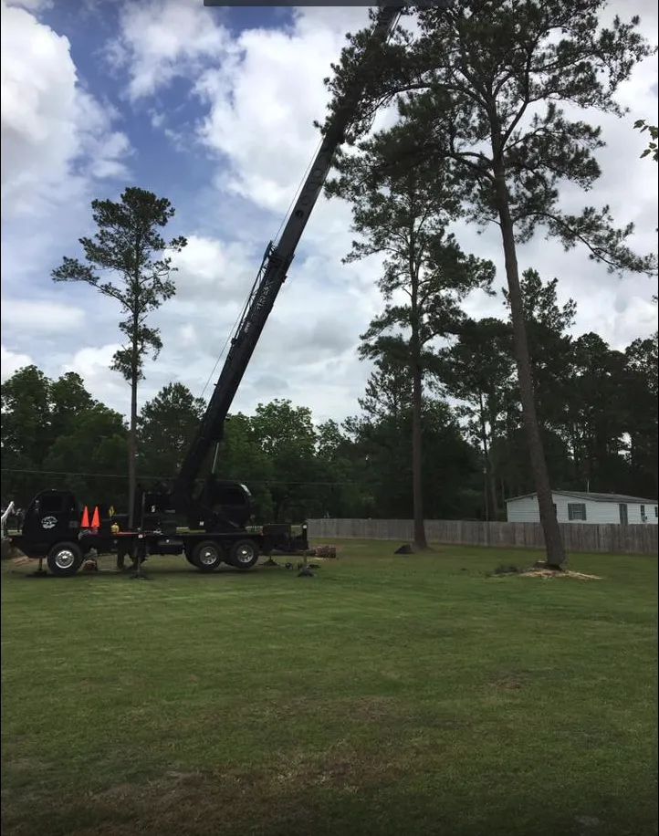 Custom landscape installation experts serving Thomasville, GA - McKenzie's Tree Service