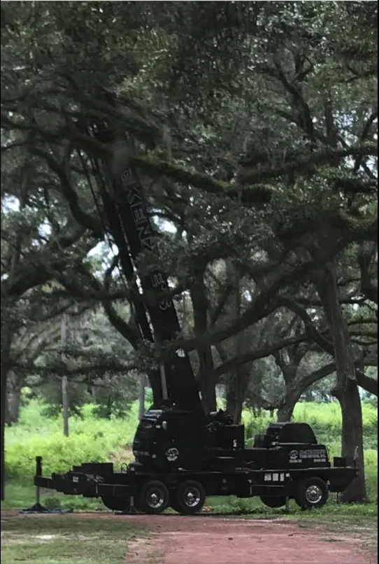 Local landscape installation with custom design in Thomasville, GA by McKenzie's Tree Service