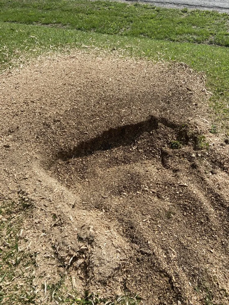 Top-rated lawn mowing service in Maryville, MO by McKim Mowing