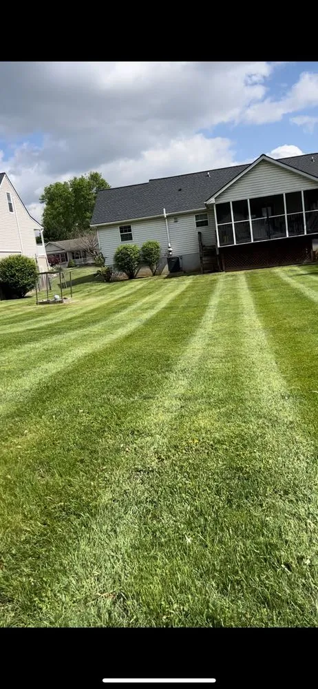 Custom yard cleanup service in Gerrardstown, WV by McKinley Outdoors
