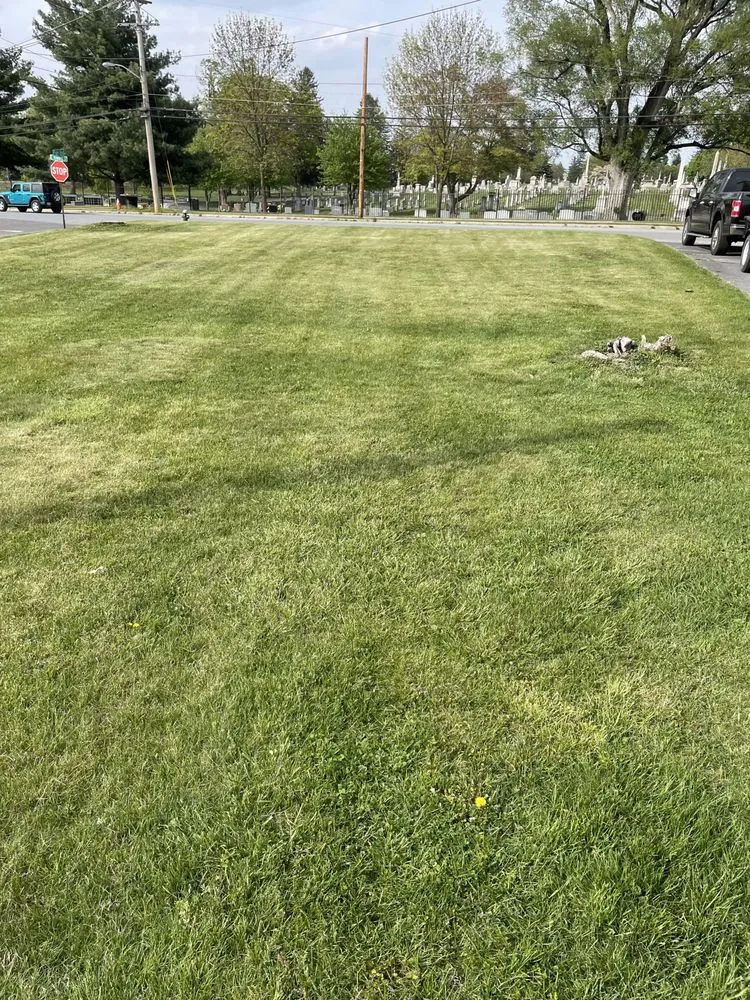 Local landscape installation for beautiful yards across Gerrardstown, WV - McKinley Outdoors
