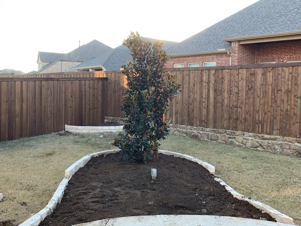 Trusted lawn care service experts serving McKinney, TX - Mckinney landscaping & Tree service