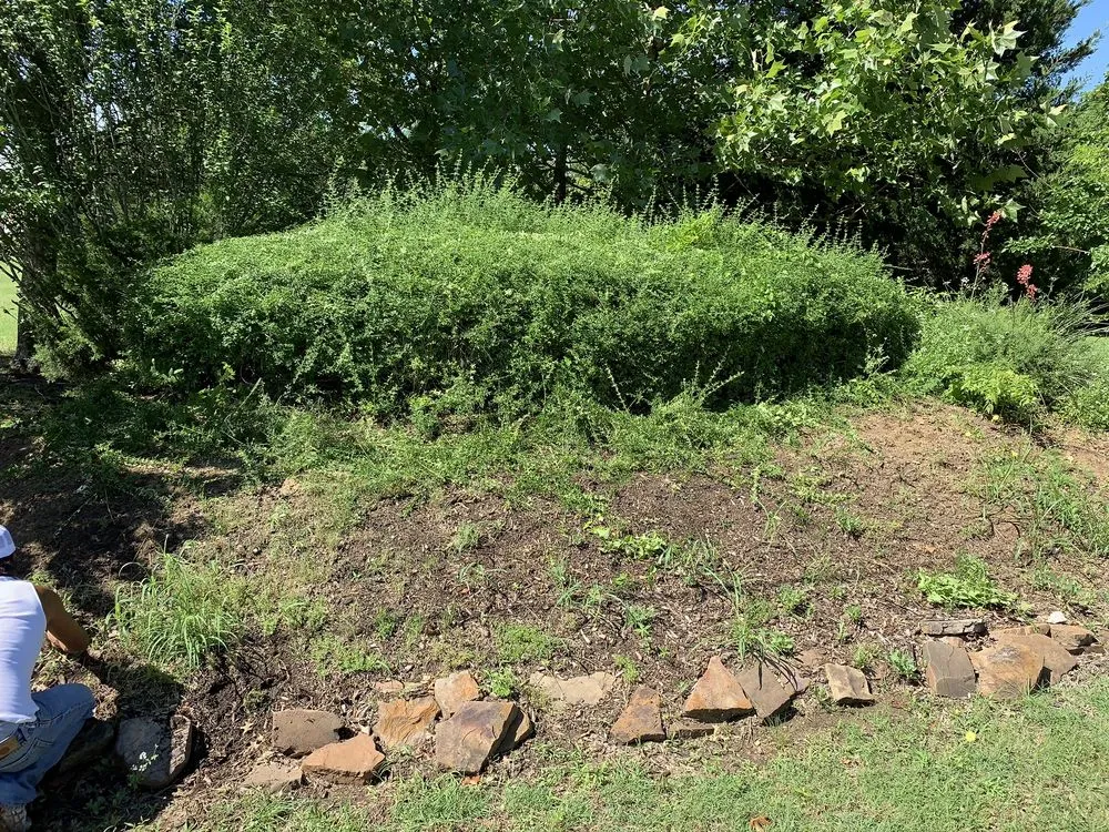 Professional landscape installation in McKinney, TX - Mckinney landscaping & Tree service