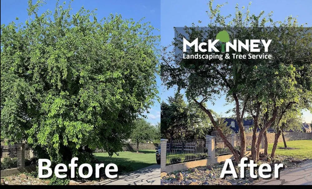 Expert lawn mowing service experts serving McKinney, TX - Mckinney landscaping & Tree service