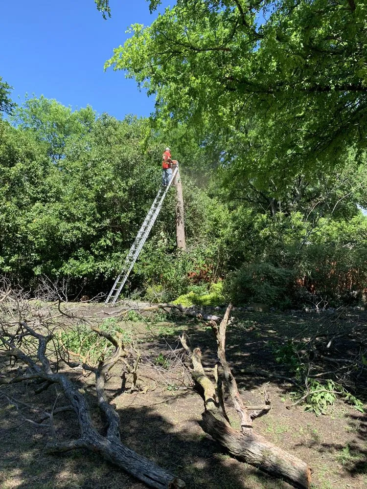 Affordable landscape installation in McKinney, TX by Mckinney landscaping & Tree service