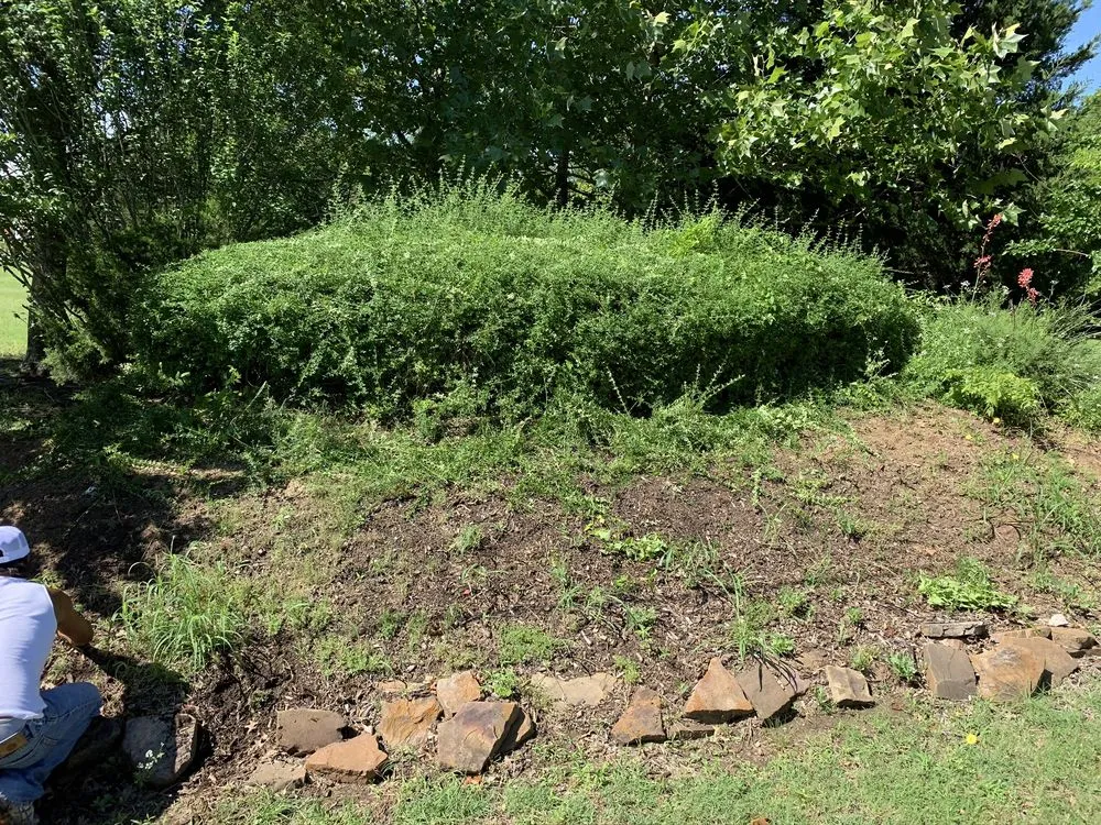 Top-rated lawn mowing service for residential properties across McKinney, TX - Mckinney landscaping & Tree service