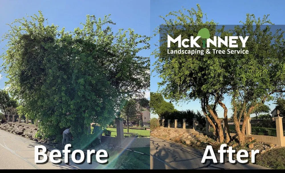 Reliable landscape design for homes in McKinney, TX by Mckinney landscaping & Tree service