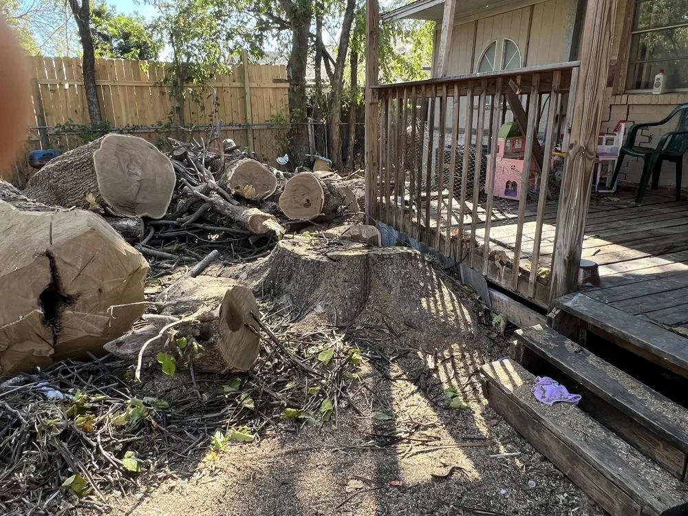 Top-rated landscape design in McKinney, TX - Mckinney landscaping & Tree service